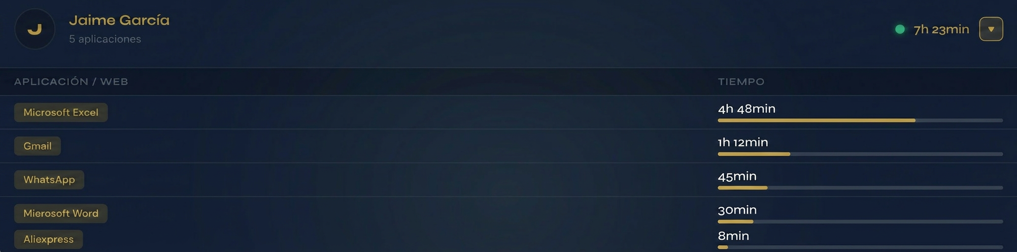 WorkRay — vista Resumen